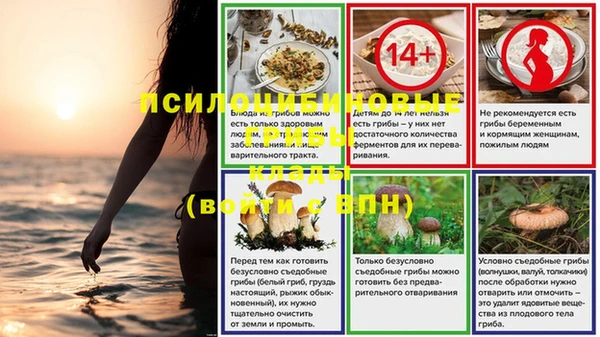 2c-b Алексин