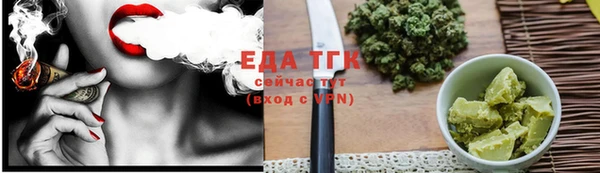 индика Алзамай