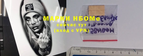 индика Алзамай