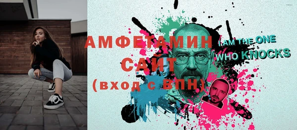 индика Алзамай