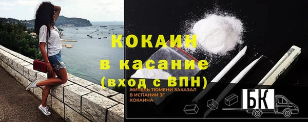 индика Алзамай